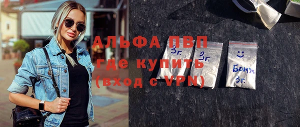 стафф Арсеньев