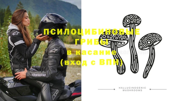 Альфа ПВП Армянск