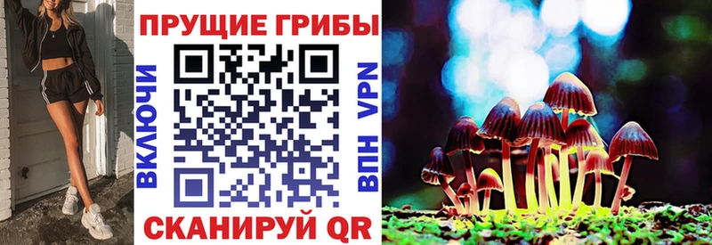 Псилоцибиновые грибы Cubensis  наркота  Чаплыгин 