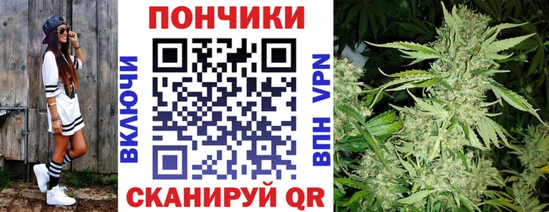 МАРИХУАНА план  где продают наркотики  Чаплыгин 
